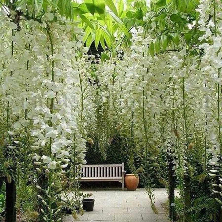 ����� ���������� ������ ����� � ���� �������� ����������� � ��������..