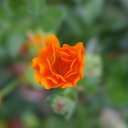 ��� ��������� ���� ��� �� ������� ���� ����������