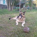 ���� ��������, �����, 52 ���� - ��������� 30 ����� 2016