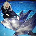 ���� ���� ������.���� ��������!!!, �������, 43 ���� - ��������� 30 ����� 2016 � ������ ���� ����������