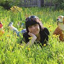 ���� ������, �������, 50 ��� - ��������� 25 ��� 2016