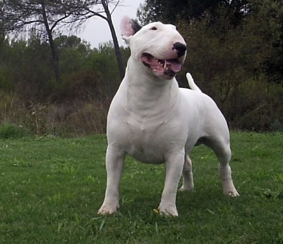 Уважаемые участники группы!)).Всем хорошего настроения в Буле-Городке))) Надеемся что в нашей группе ...