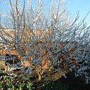 ���� ���������, ��������, 60 ��� - ��������� 24 ������ 2016 � ������ ���� ����������