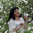 ���� ���������, ����������, 40 ��� - ��������� 21 ��� 2016 � ������ ���� ����������