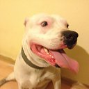 ��������!!! �� ������� ���� ����������