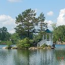 ���� �����, ���� - ��������� 11 ������� 2016 � ������ ������