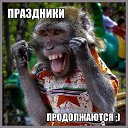 ���� �������, ������, 41 ��� - ��������� 21 ����� 2016