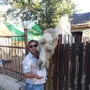 ���� �����, ��������, 48 ��� - ��������� 17 ����� 2016 � ������ ���� ����������