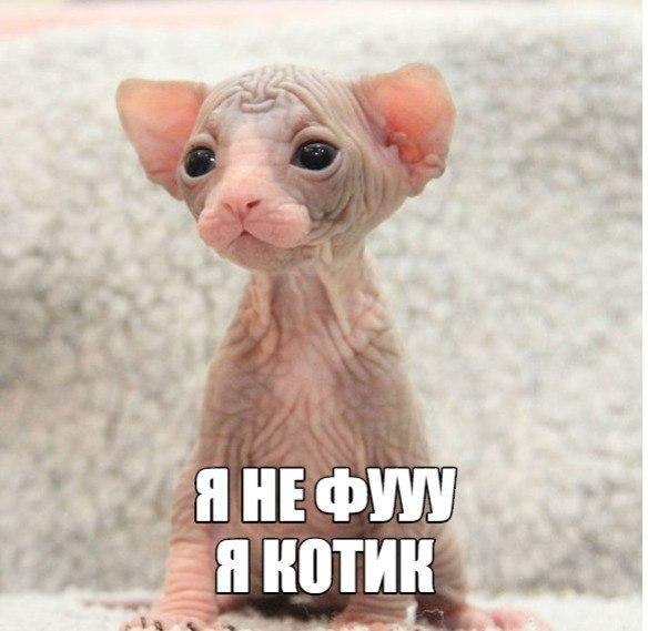    :D - 14  2016  14:38