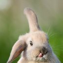 ���� Svetlana, ������� - ��������� 8 �������� 2016 � ������ ������ ��������