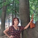 ���� �������, ���, 75 ��� - ��������� 22 ���� 2016 � ������ ���� ����������