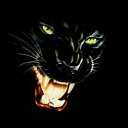 ���� �����, ���������, 53 ���� - ��������� 31 ������� 2016