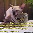 ���� �����, ������, 46 ��� - ��������� 16 ������ 2016 � ������ ��� ��� � ����� � ������!!!�