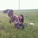  ,  -  13  2016   2016