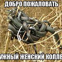 ���� ���������, ������ - ��������� 22 ����� 2016 � ������ ������ ��������