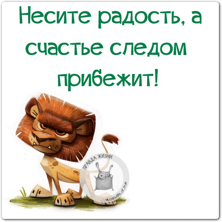 Несу счастье. Правда жизни. Анекдоты про радость. Правда жизни про работу. Радость жизни юмор.