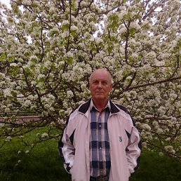 ���� ���������, ���������, 71 ��� - ��������� 31 ����� 2016