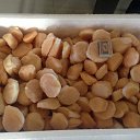 ���� �����, �����-���������, 38 ��� - ��������� 13 ������� 2016 � ������ ���� ����������