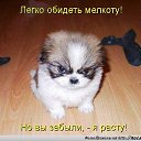 ���� *����������!!! 134, ��������� - ��������� 15 ������ 2016 � ������ ���� ����������