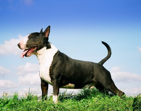 Уважаемые участники группы!)).Всем хорошего настроения в Буле-Городке))) Надеемся что в нашей группе ...