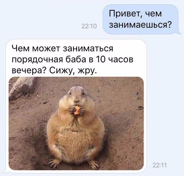    |   - 26  2016  20:33