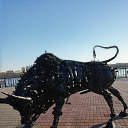 ���� �������, ������������, 49 ��� - ��������� 29 ���� 2016 � ������ �������������