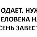���� Nikolaevna, ���������, 57 ��� - ��������� 2 �������� 2016 � ������ ������ ��������