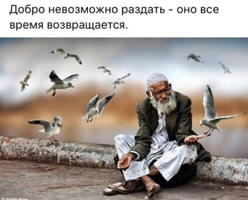 Людмила Мальчикова Матвиенко - 26 апреля 2016 в 00:03