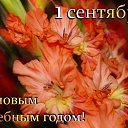 ���� ����, ������, 36 ��� - ��������� 1 �������� 2016 � ������ ������ ��������