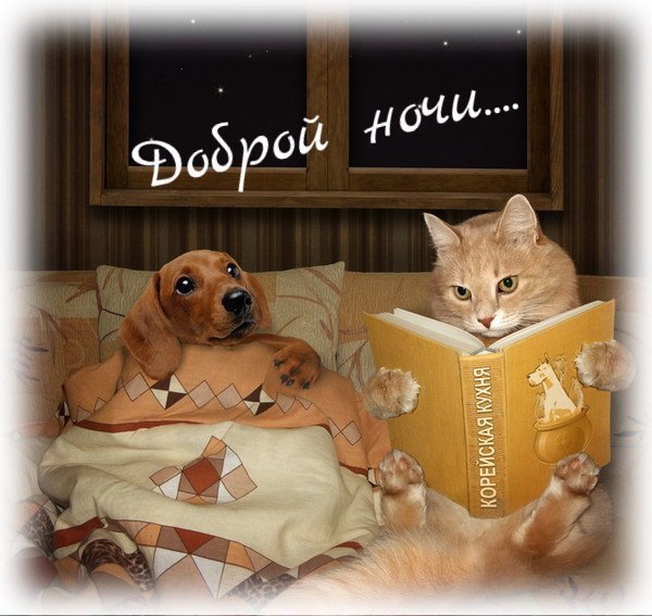 ����� ������ - 23 ������� 2016 � 20:45