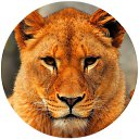 ���� �����, ������-��-���� - ��������� 6 �������� 2016 � ������ �������� ����