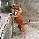 ���� ����, ���� - ��������� 22 ����� 2016 � ������ ���� ����������