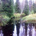 ���� ������, �����, 65 ��� - ��������� 2 �������� 2016 � ������ ������ �������� 2015�.�