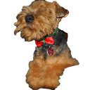 ���� J&uuml;rgen, ��������, 83 ���� - ��������� 2 ���� 2016 � ������ ���� ����������