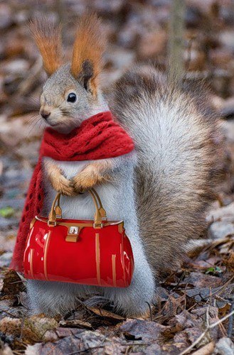 Сентябрь, это такой месяц, когда не поймешь кто больше глупее...та, которая в босоножках, или та, ...