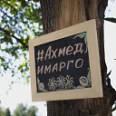 ���� ˸��, ������ - ��������� 29 ���� 2016 � ������ �������� 16.06.16 �.�����
