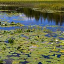 ���� �������, ������, 67 ��� - ��������� 26 ������� 2016 � ������ ��. ����� 2016 �.�