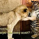 ���� ���������, �������, 62 ���� - ��������� 19 ��� 2016 � ������ ������ ��������
