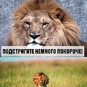 ���� ������, ��������� - ��������� 25 ���� 2016 � ������ ������ ��������