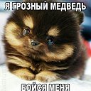 ���� �������, ��������, 41 ��� - ��������� 17 ���� 2016 � ������ ���� ����������