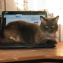 ���� ������, �������� - ��������� 17 ���� 2016 � ������ ���� ����������