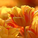 ���� ������, ��� - ��������� 28 ������ 2016 � ������ ������ ��������