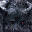 ���� �����, ������-���������, 51 ��� - ��������� 12 ������ 2016 � ������ ������ ��������