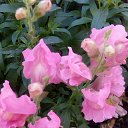 ���� ������, �����������, 64 ���� - ��������� 25 ���� 2016 � ������ �...���� ��������...�