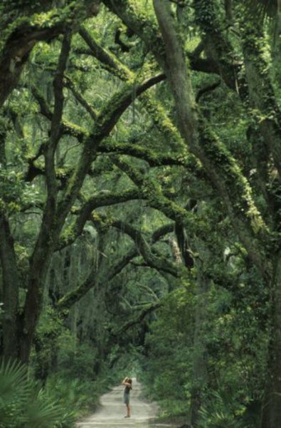 Тропинки, по которым нужно пройти - 5