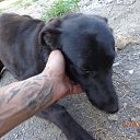 ���� ������, �����������, 47 ��� - ��������� 31 ������� 2016 � ������ ���� ����������