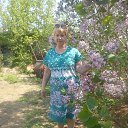 ��� 2016� �� ������� ���� ����������
