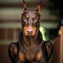 ���� �����, ��� - ��������� 28 ���� 2016 � ������ ������ ��������
