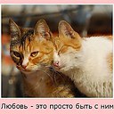 ���� �������, ���������� - ��������� 17 ���� 2016 � ������ ������ ��������