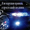 ���� Alternative, �����-��������� - ��������� 29 ��� 2016 � ������ ������ ��������